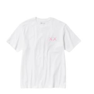 Kaws Koszulka Graphite White Pink