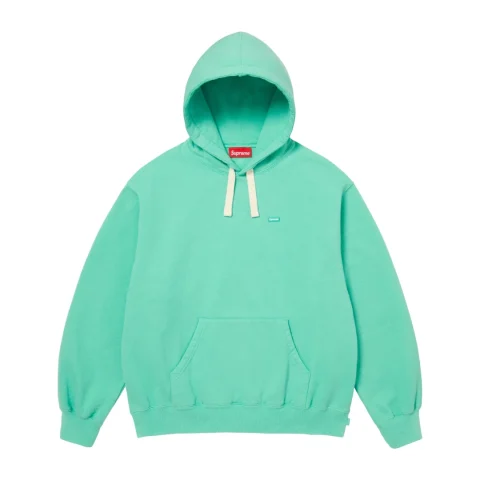 Supreme Small Box Drawcord Hooded Sweatshirt 'Mint'
